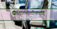 consulta repuve Hidalgo