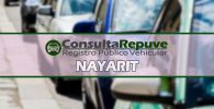consulta repuve Nayarit